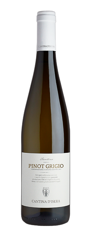 La Vendemmia Pinot G.